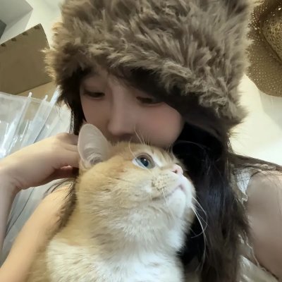 附加物